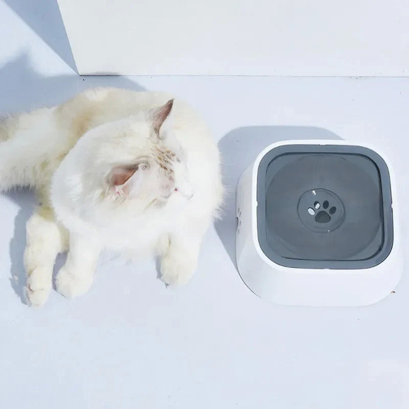 WolPet™ Gamelle Anti-Débordement Chiens & Chats