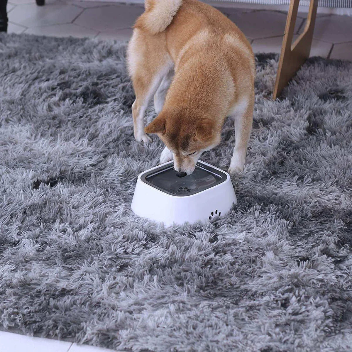 WolPet™ Gamelle Anti-Débordement Chiens & Chats