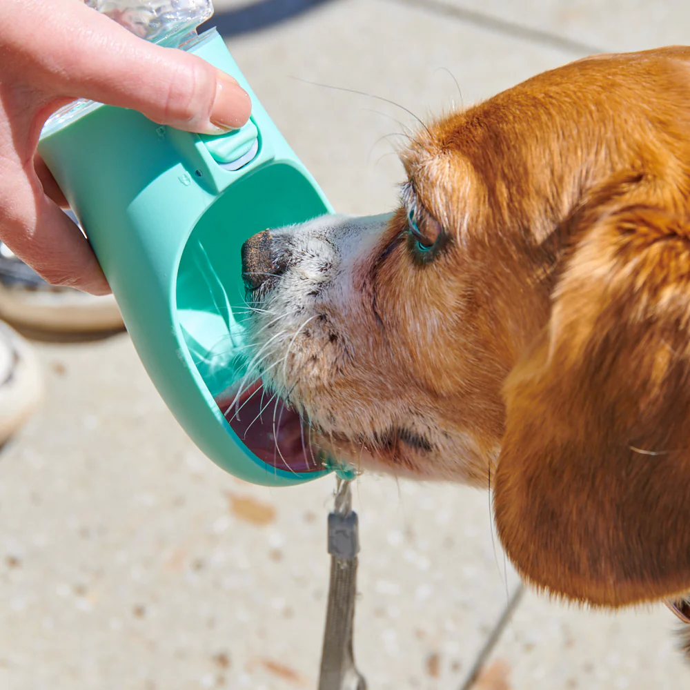 WolPet™ Bouteille Portable 3-en-1 pour Chien