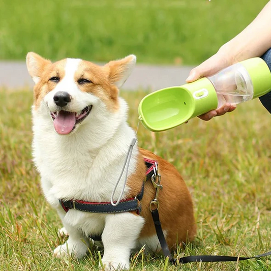 WolPet™ Bouteille Portable 3-en-1 pour Chien