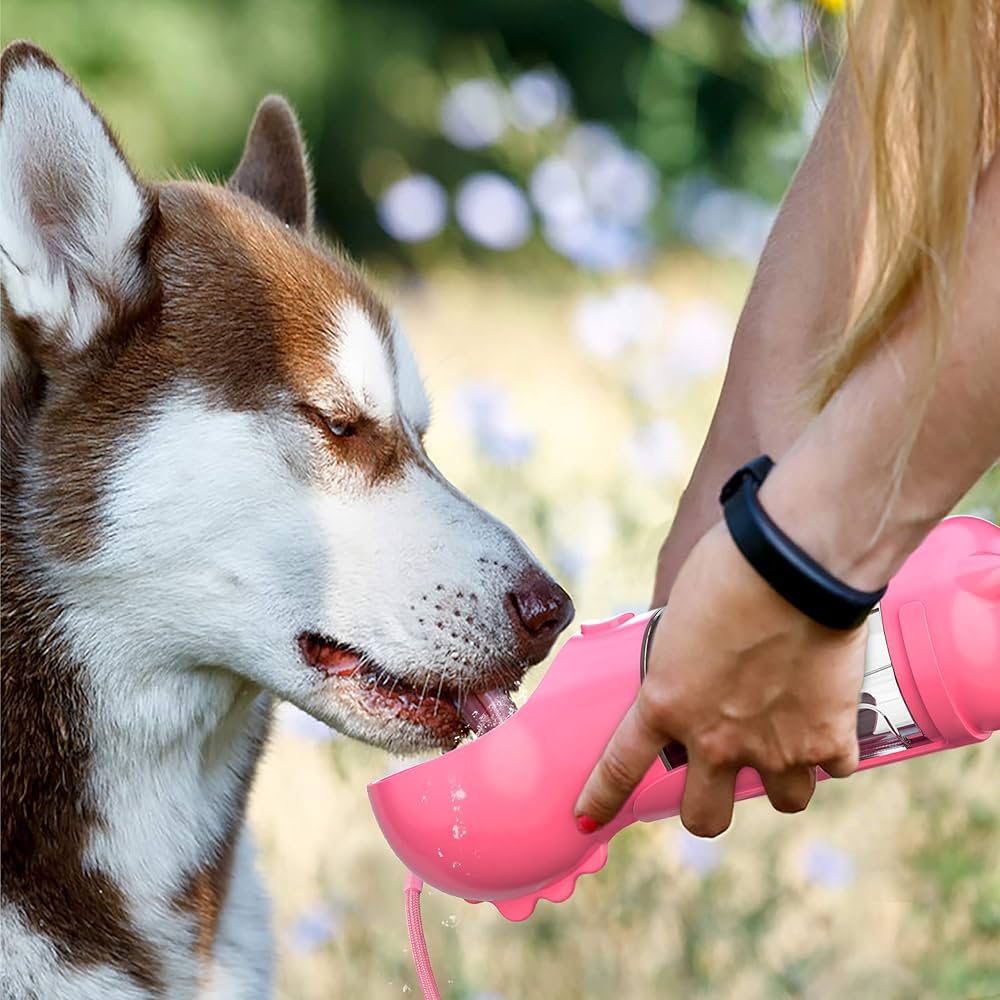 WolPet™ Bouteille Portable 3-en-1 pour Chien