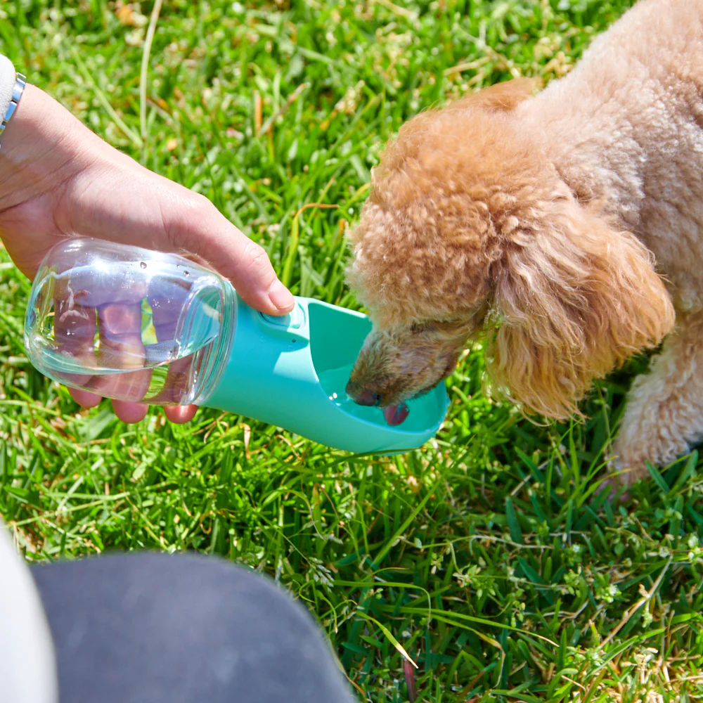 WolPet™ Bouteille Portable 3-en-1 pour Chien