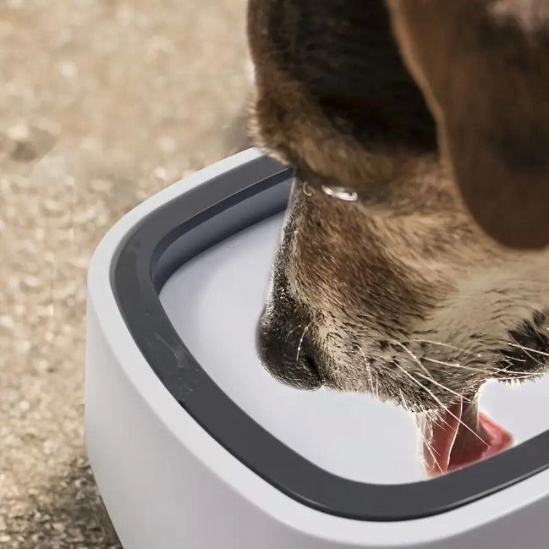 WolPet™ Gamelle Anti-Débordement Chiens & Chats