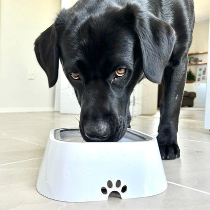 WolPet™ Gamelle Anti-Débordement Chiens & Chats