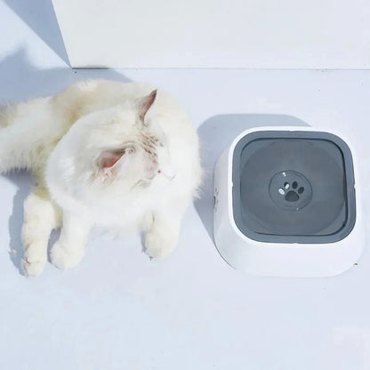 WolPet™ Gamelle Anti-Débordement Chiens & Chats