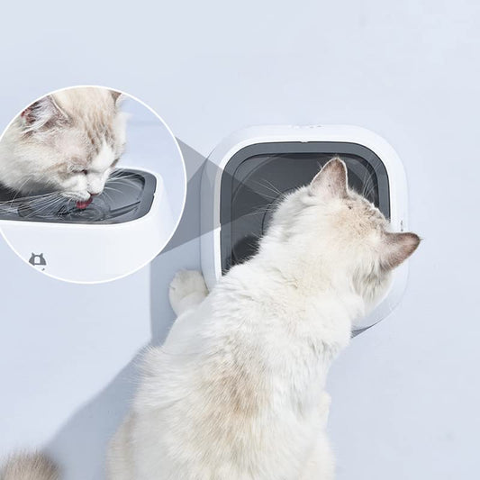 WolPet™ Gamelle Anti-Débordement Chiens & Chats