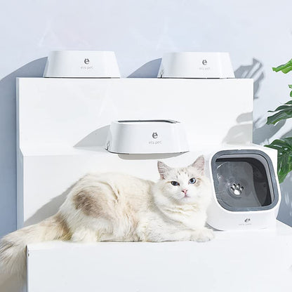 WolPet™ Gamelle Anti-Débordement Chiens & Chats