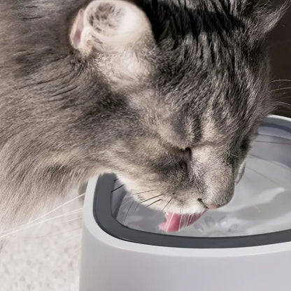 WolPet™ Gamelle Anti-Débordement Chiens & Chats